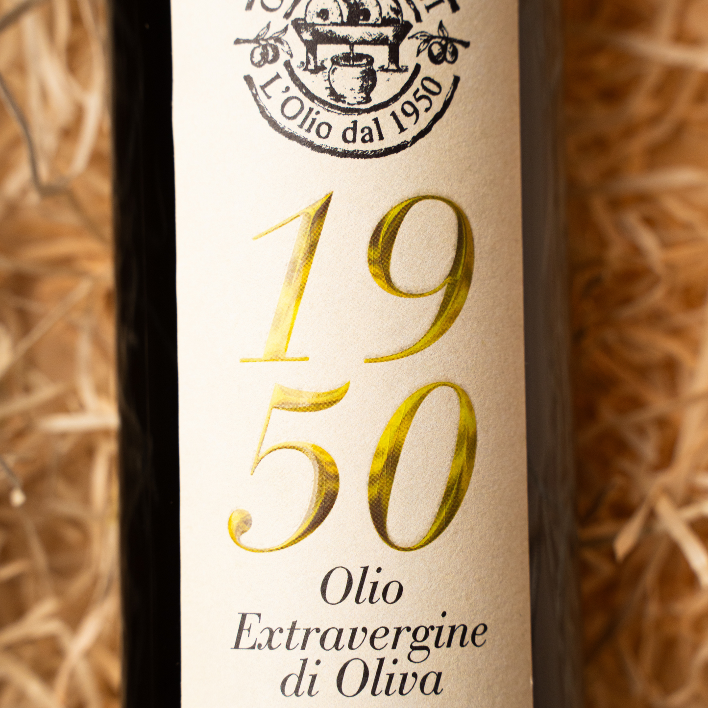 Olio Gaudenzi - 1950