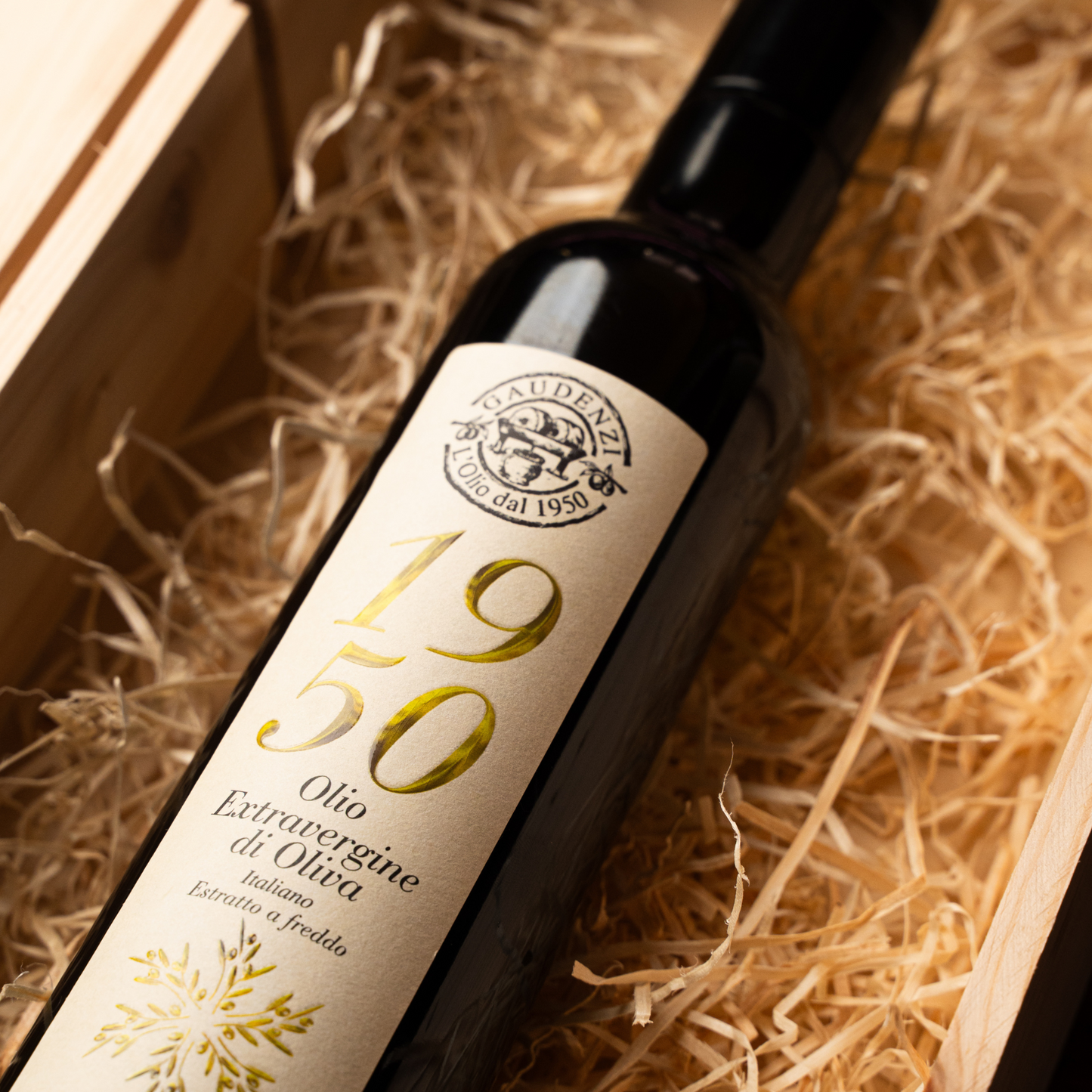 Olio Gaudenzi - 1950