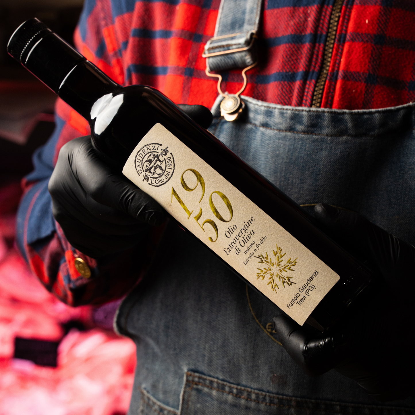 Olio Gaudenzi - 1950