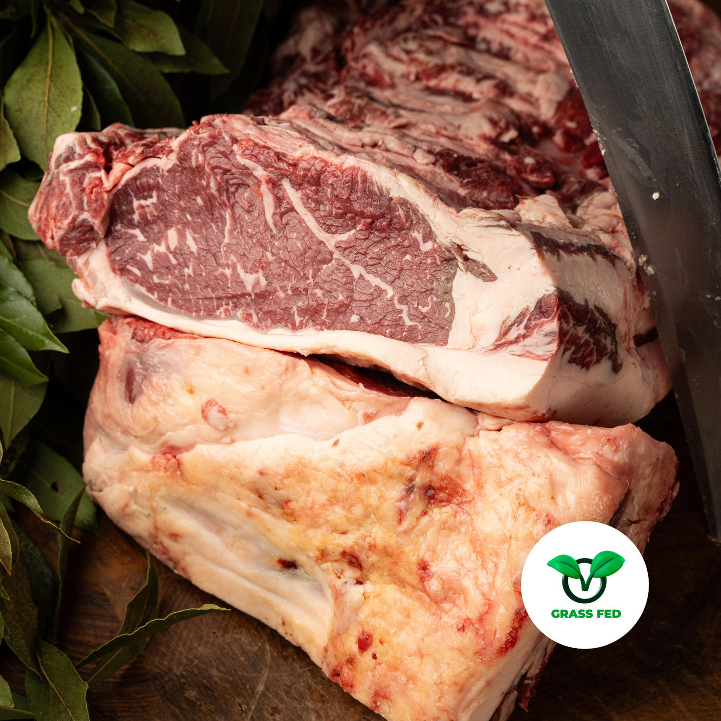 Black angus italiano (Grass Fed)