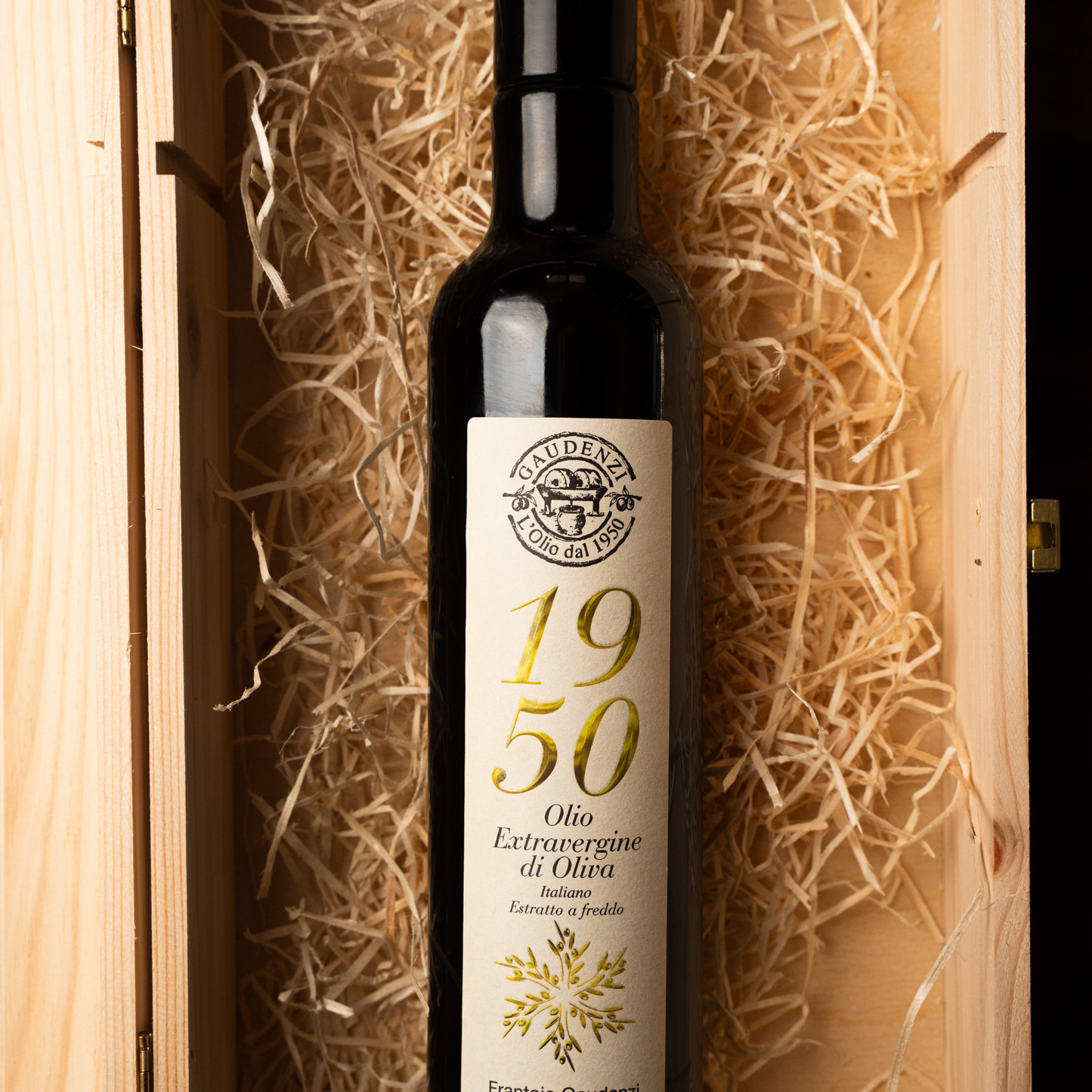 Olio Gaudenzi - 1950