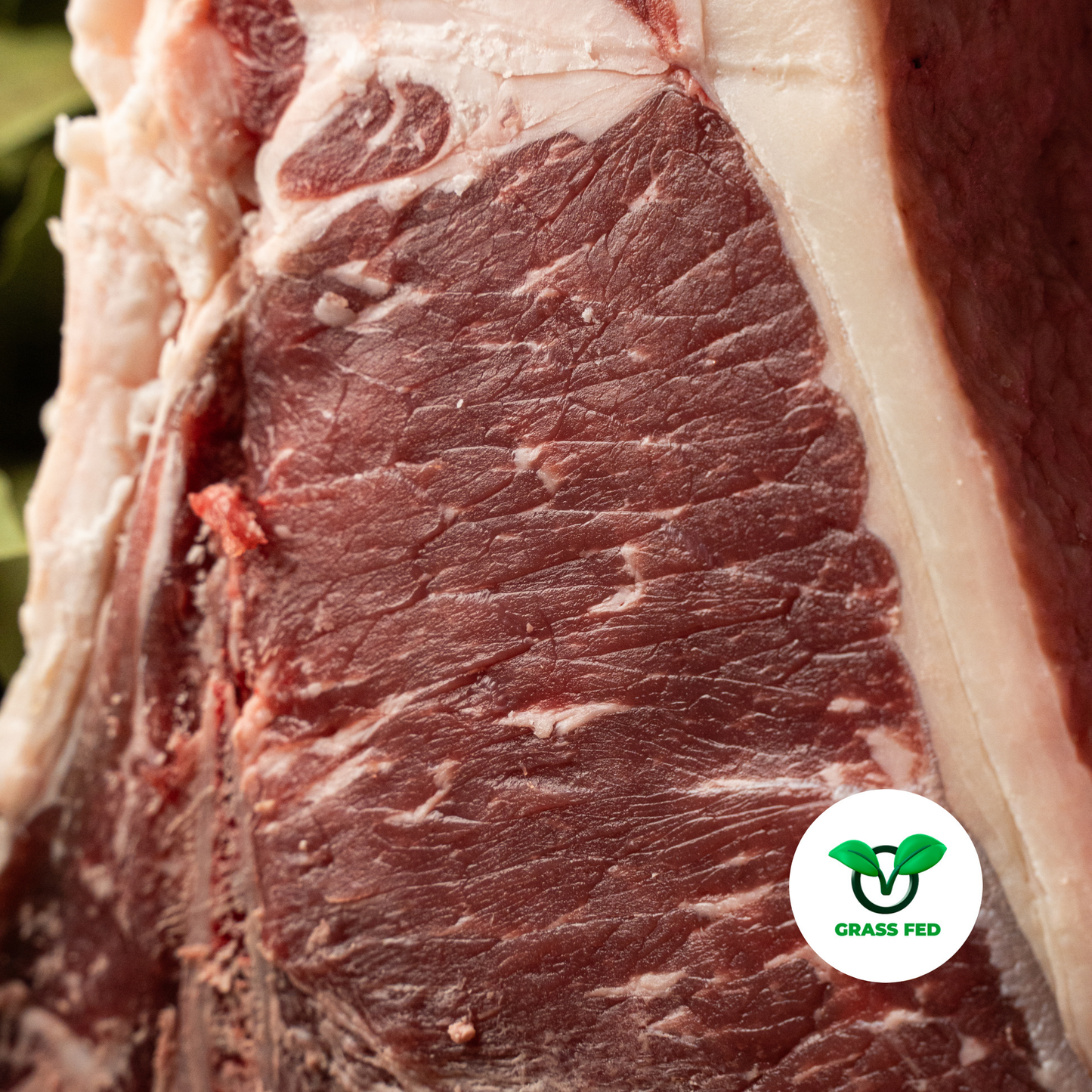 Black angus italiano (Grass Fed)