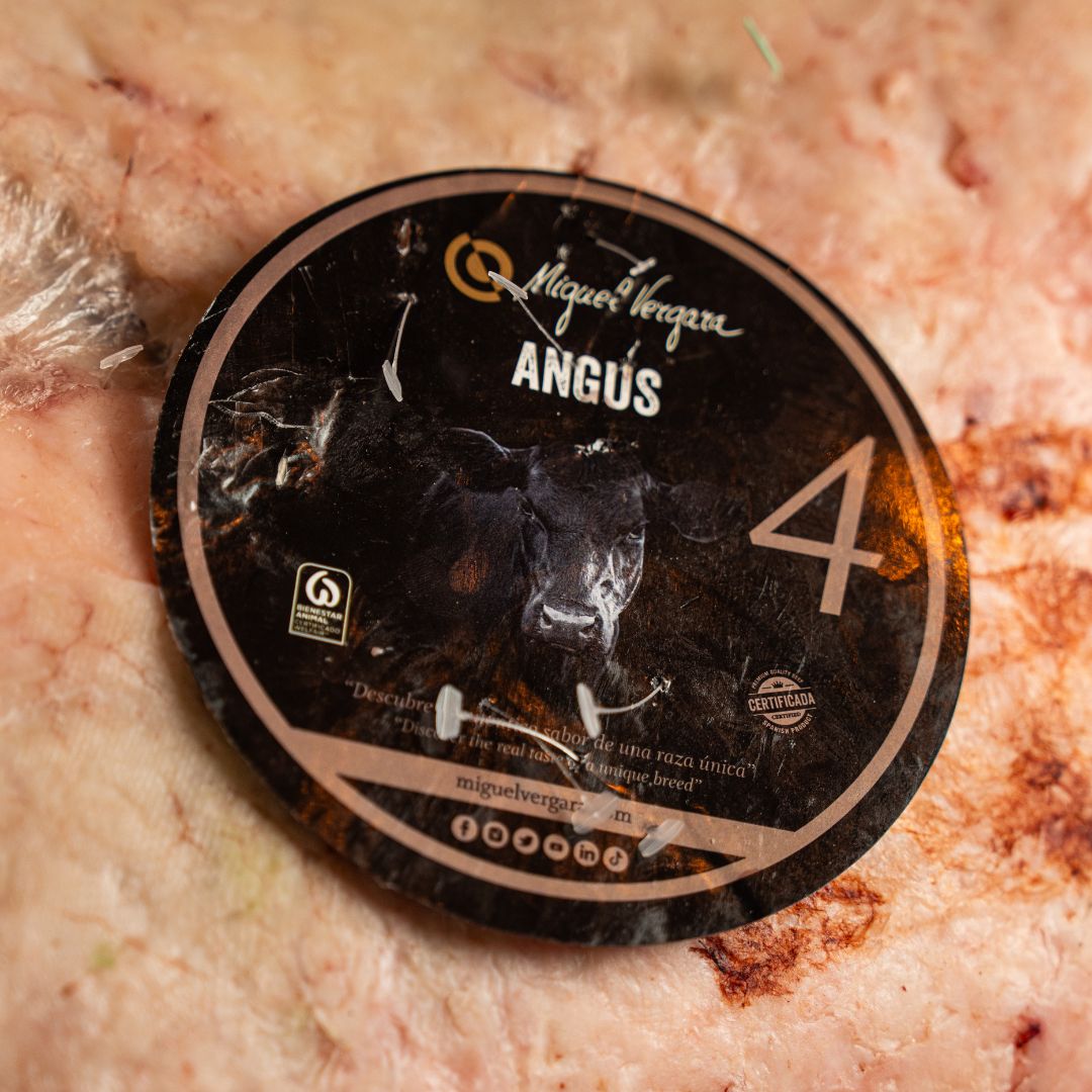 Black Angus Miguel Vergara