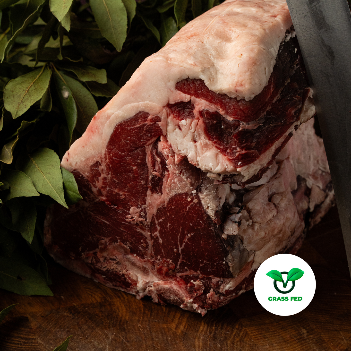 Black angus italiano (Grass Fed)