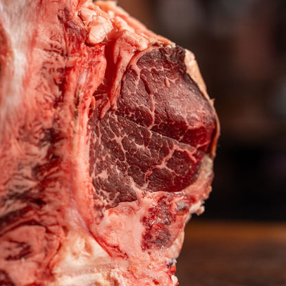 Black Angus Miguel Vergara