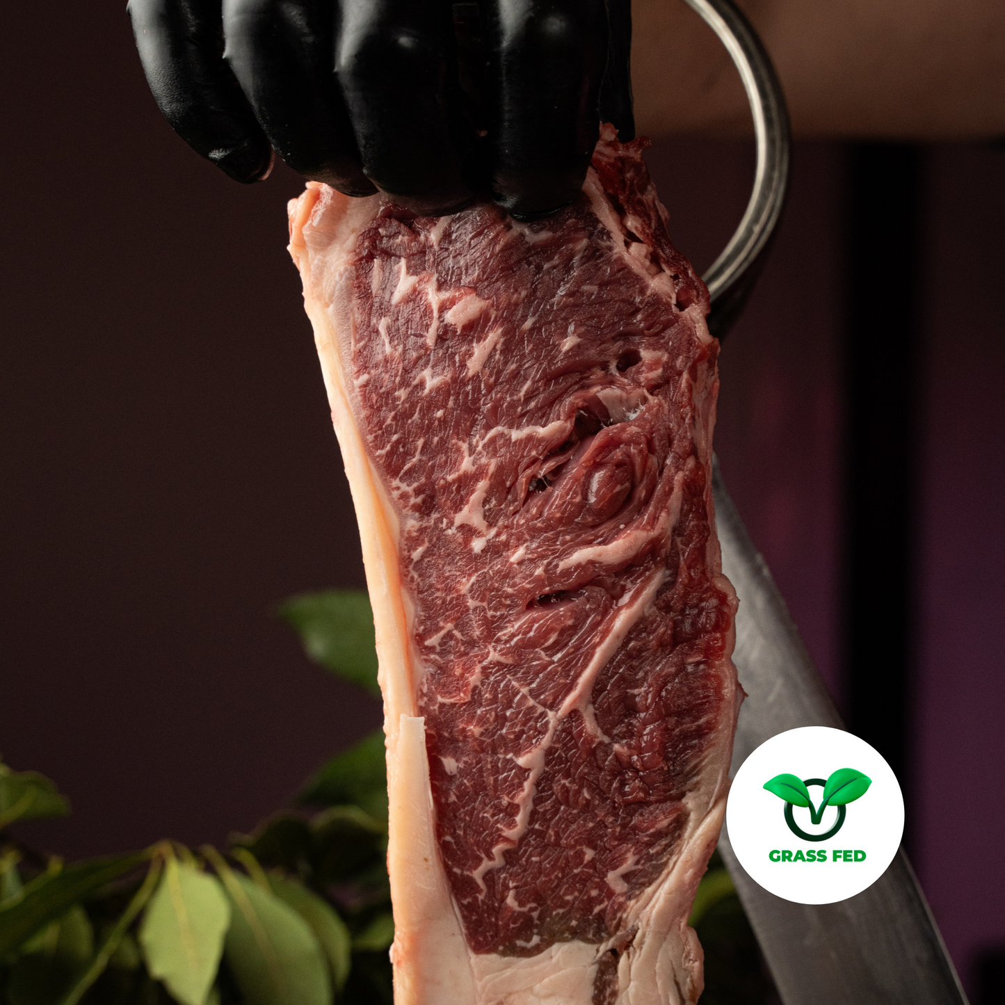 Black angus italiano (Grass Fed)