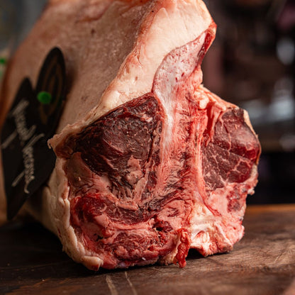 Black Angus Miguel Vergara