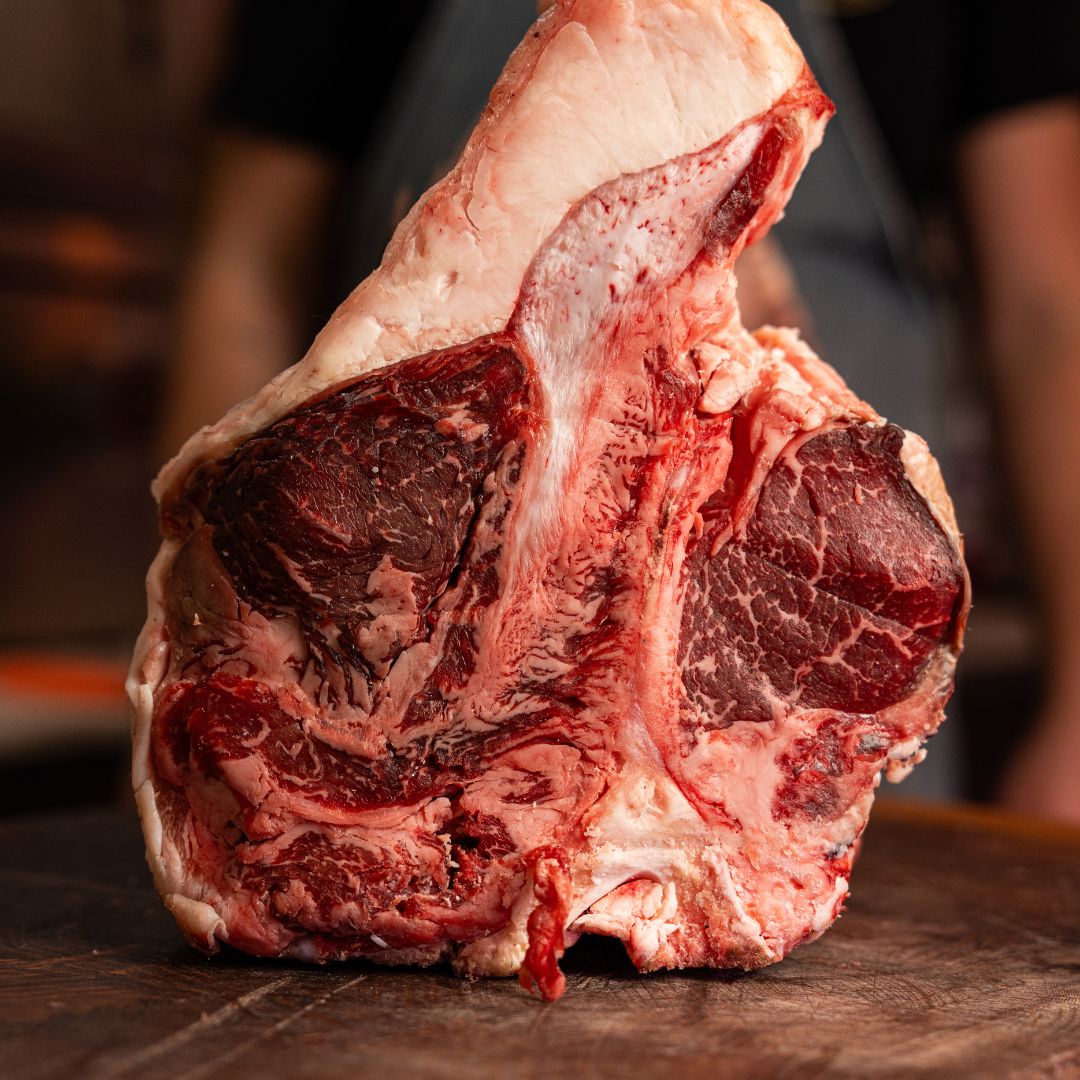 Black Angus Miguel Vergara