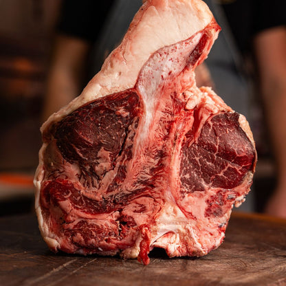 Black Angus Miguel Vergara