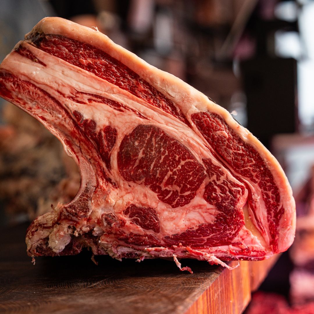Black Angus Miguel Vergara
