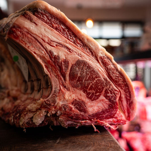 Black Angus Miguel Vergara