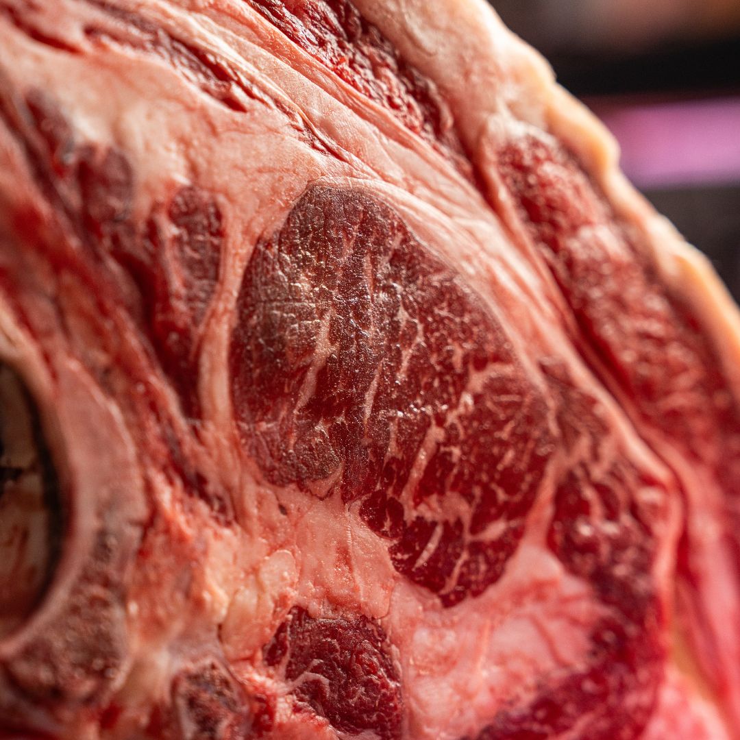 Black Angus Miguel Vergara