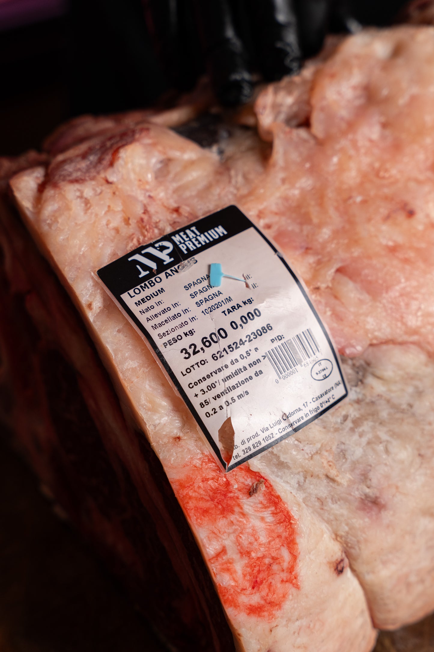 Black Angus spagnolo