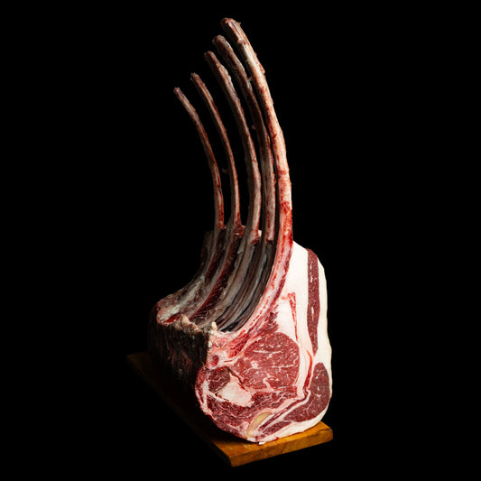 Tomahawk - Certificato Marmoris