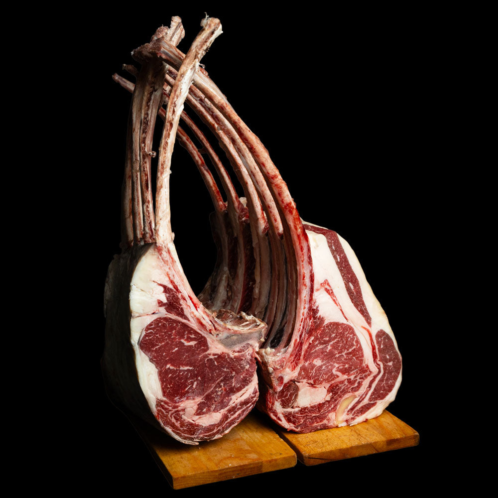 Tomahawk - Certificato Marmoris