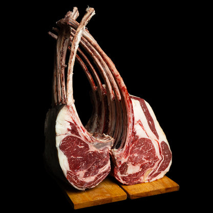 Tomahawk - Certificato Marmoris